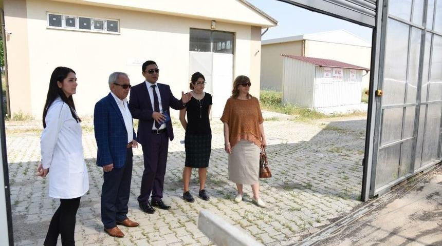 Genel M&uuml;d&uuml;r Coşkun&rsquo;dan &Ccedil;evreci Yatırıma İnceleme