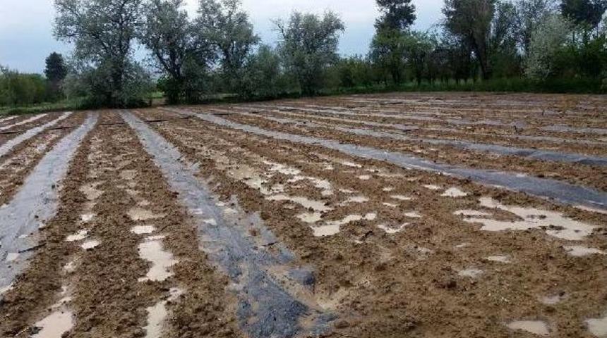 Dolu, Korkuteli'de Etkili Oldu