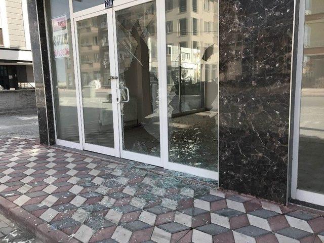 Şehre İnen Yaban Domuzu Genç Kadını Kovaladı 1