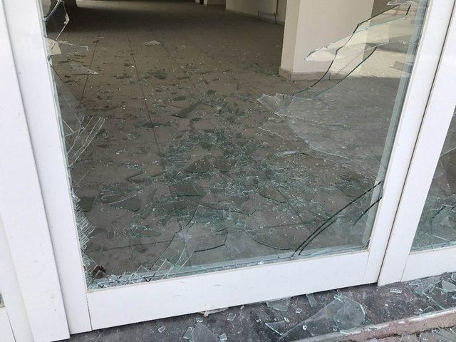 Şehre İnen Yaban Domuzu Genç Kadını Kovaladı 2