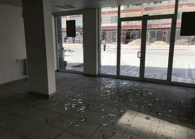 Şehre İnen Yaban Domuzu Genç Kadını Kovaladı 3