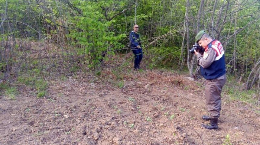 Dağlık Alanda Ekili 120 K&ouml;k Hint Keneviri Ele Ge&ccedil;irildi