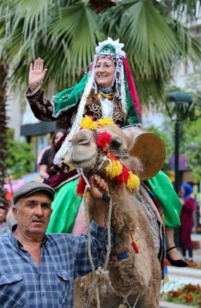 Yörük Festivali'nde Develer Asfaltta Yürüdü