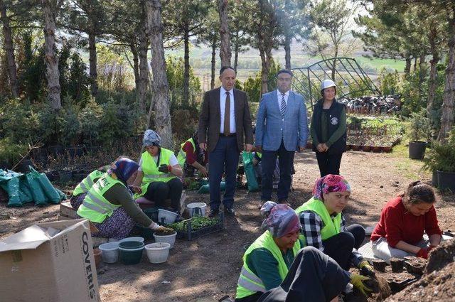 Kırıkkale Çiçek Bahçesi Haline Geliyor