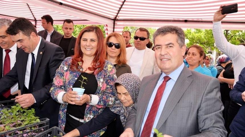 Başkan &Ccedil;er&ccedil;ioğlu Buharkent&rsquo;te Yerli Fide Dağıttı