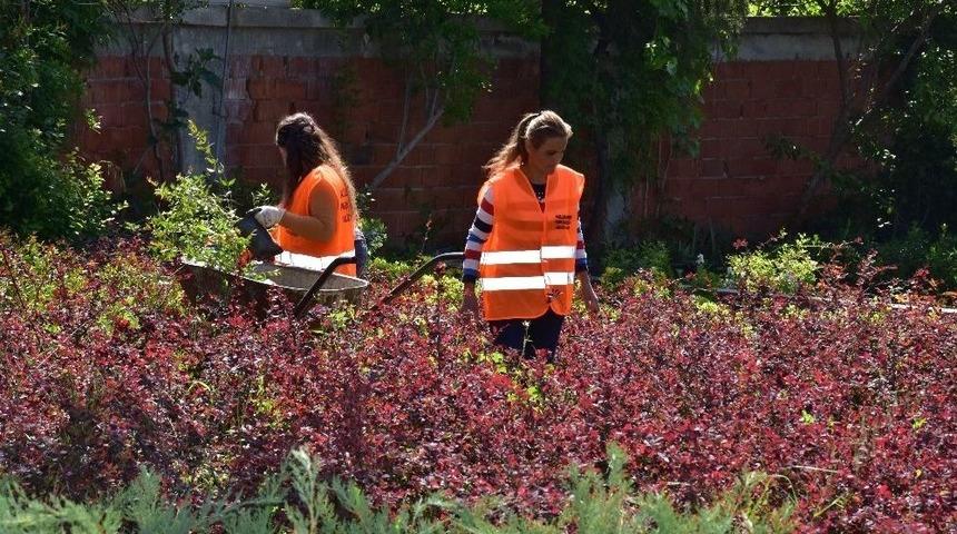 Nazilli&rsquo;de Parklara Kadın Eli Değdi