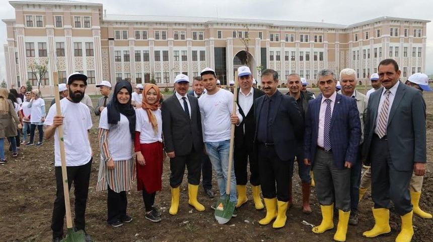 Ai&ccedil;&uuml;&rsquo;de 500 Ağa&ccedil; Toprağa Ekildi