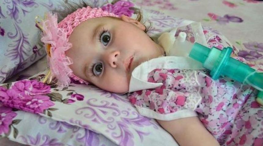 Sma Hastası Zeynep Bebek, Yaşama Tutunamadı