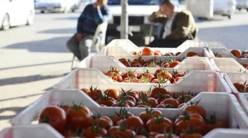Her 100 Dolarlık Domates Ihracının 70 Dolarını Sağlayan Rusya Sıfır &Ccedil;ekti
