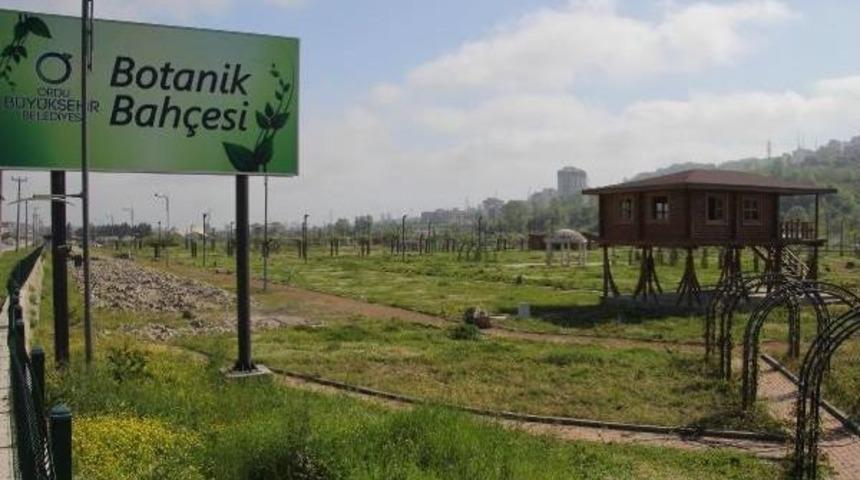 Ordu'da Botanik Park I&ccedil;in Imza Kampanyası Başlatıldı