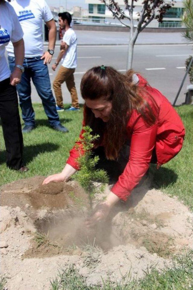 Kayseri Ve El-bab Şehitleri İçin Fidan Dikildi