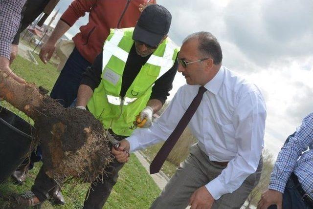 Ardahan’da Fidan Dikim Çalışması Aralıksız Devam Ediyor