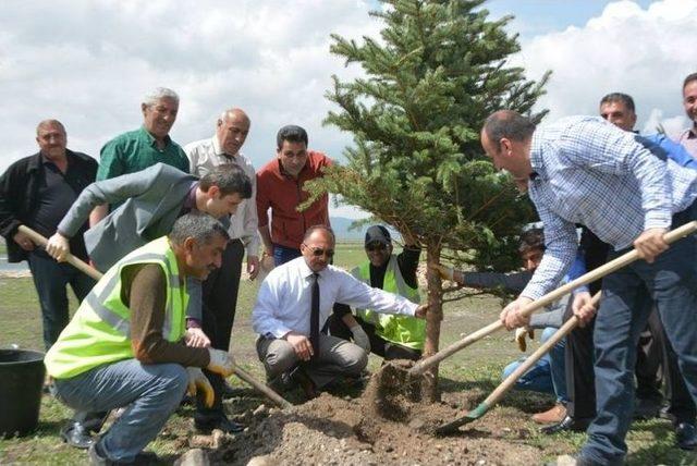 Ardahan’da Fidan Dikim Çalışması Aralıksız Devam Ediyor