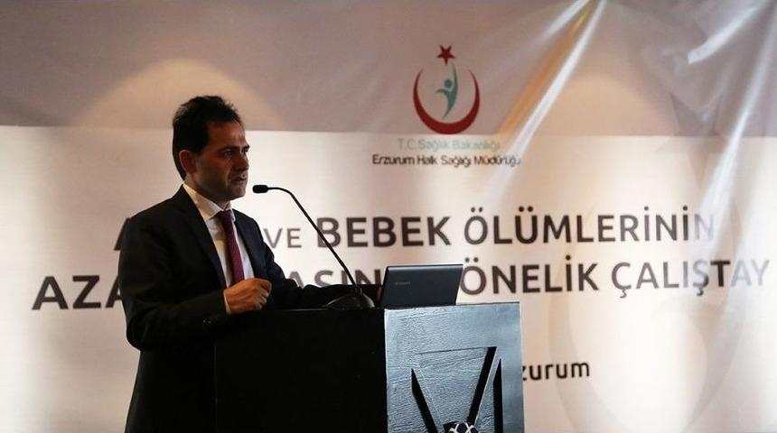Erzurum&rsquo;da Anne Ve Bebek &Ouml;l&uuml;mlerinin Azaltılması &Ccedil;alıştayı