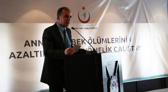 Erzurum&rsquo;da Anne Ve Bebek &Ouml;l&uuml;mlerinin Azaltılması &Ccedil;alıştayı 1