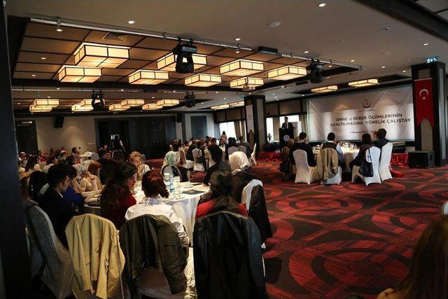 Erzurum&rsquo;da Anne Ve Bebek &Ouml;l&uuml;mlerinin Azaltılması &Ccedil;alıştayı 2