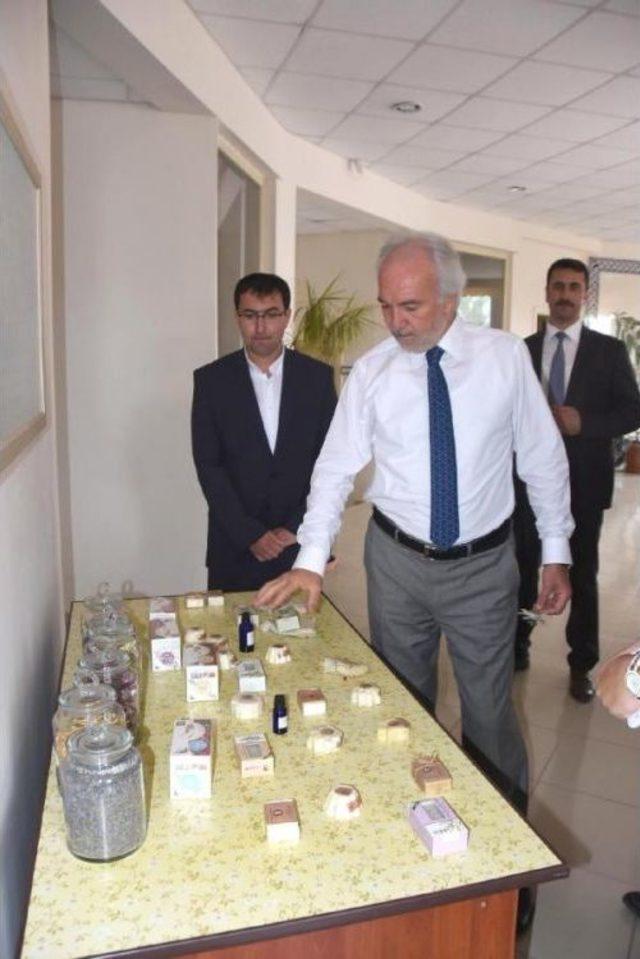 K&uuml;tahya Belediyesi, 400 &Ccedil;eşit Bitki Yetiştiriyor 1