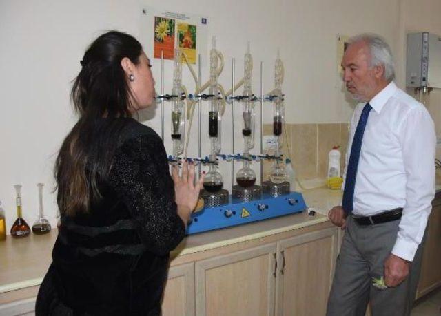 K&uuml;tahya Belediyesi, 400 &Ccedil;eşit Bitki Yetiştiriyor 2