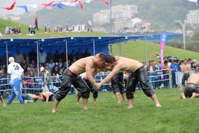 9. Sekapark Altın Kemer Yağlı Güreşleri Başladı 1