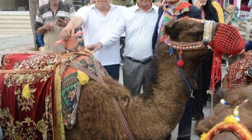 Y&ouml;r&uuml;kler Develerle Sokağa &Ccedil;ıktı