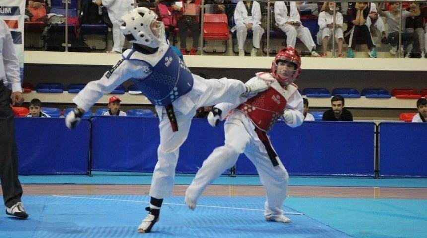 Okul Sporları Taekwondo M&uuml;sbakaları