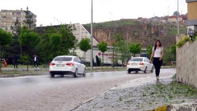 Mardin'de Dolu Yağışı Hayatı Olumsuz Etkiledi