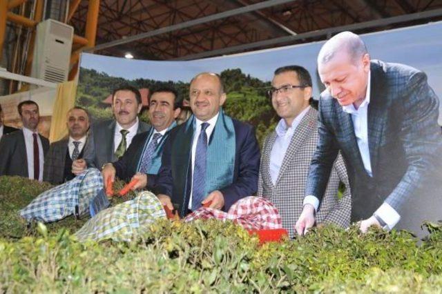 Bakan Işık, Rize Tanıtım Günleri ne Katıldı 3