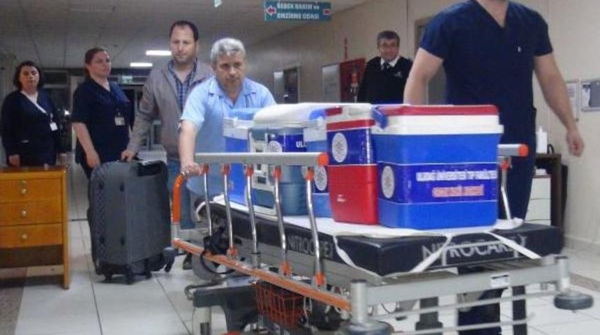 Sınıfta Kız Arkadaşını &Ouml;ld&uuml;ren Liselinin Organları 8 Kişiye Umut Oldu