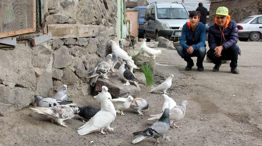 Otomobil Fiyatına G&uuml;vercin