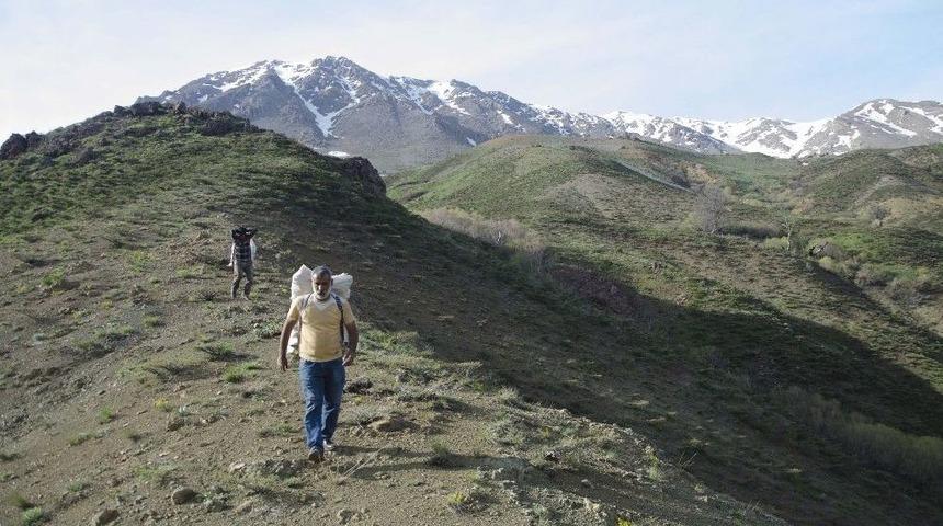 &ldquo;ışgın&rdquo;ın Dağlardan Tezgaha Zorlu Yolculuğu