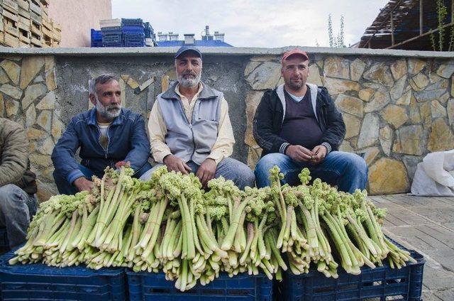 &ldquo;ışgın&rdquo;ın Dağlardan Tezgaha Zorlu Yolculuğu 1