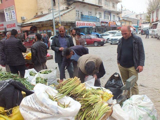 Dağdan Topladıkları Otları Satarak Geçimlerini Sağlıyorlar