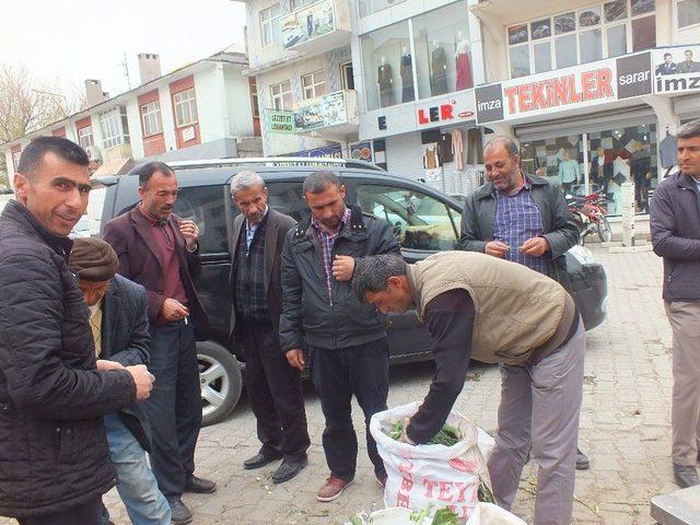 Dağdan Topladıkları Otları Satarak Geçimlerini Sağlıyorlar