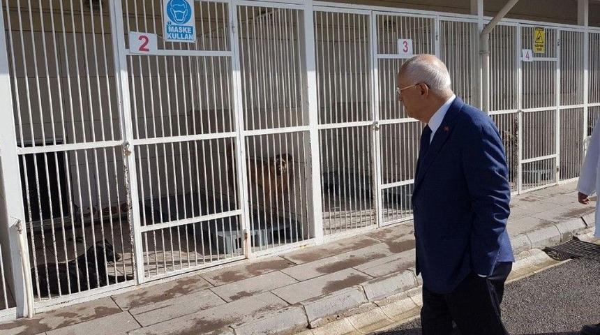 Yenimahalle Belediye Başkanı Yaşar&rsquo;dan Yakın Takip