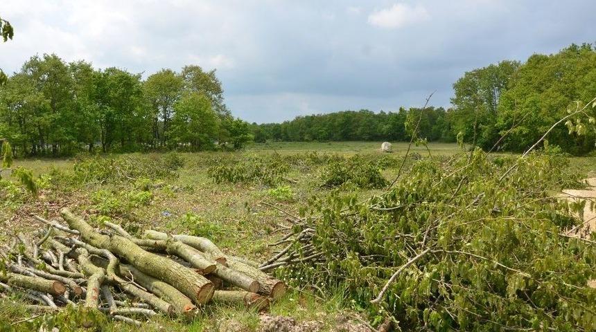 (&ouml;zel) Silivri&rsquo;de Ormanlık Alandaki Ağa&ccedil;ların Kesilmesine Tepki