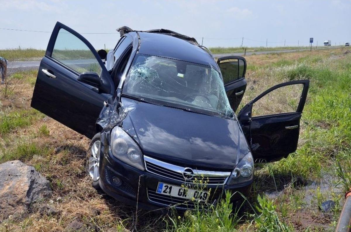 Kaplumbağayı Ezmemek İ&ccedil;in Manevra Yapınca Takla Attı