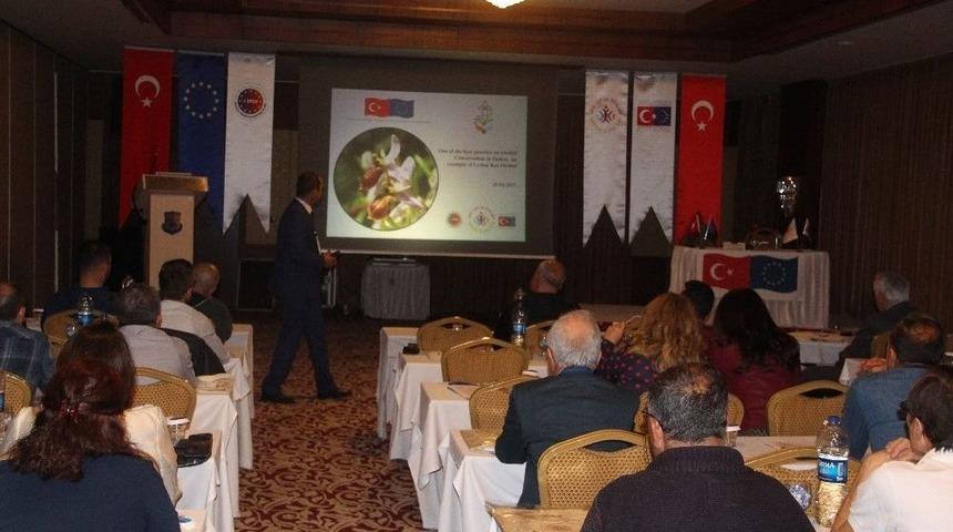 Orkidelerin Geleceğine Salep Engeli