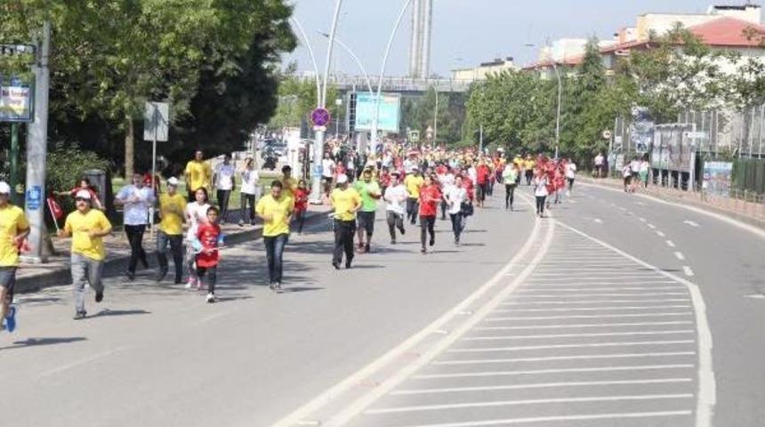 Kitap I&ccedil;in Koştular
