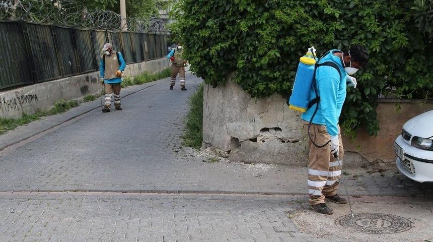 Haliliye&rsquo;de Haşere Ve Sinekle M&uuml;cadele Hız Kesmiyor