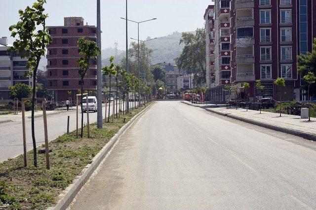 Tekkeköy Belediyesinden Estetik Dokunuş