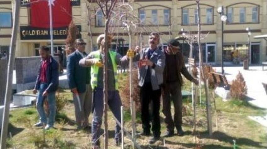 Belediye &Ccedil;alışanlarına Ağa&ccedil; Budama Eğitimi