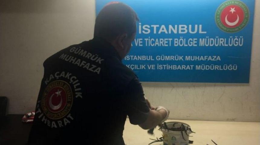 Atat&uuml;rk Havalimanında T&uuml;l &Ccedil;orap İ&ccedil;erisinde 83 Kilogram S&uuml;l&uuml;k Yakalandı
