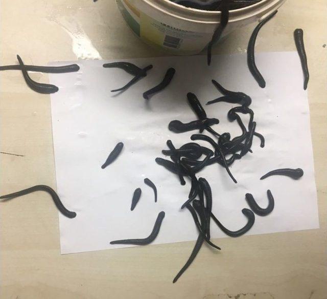 Atat&uuml;rk Havalimanında T&uuml;l &Ccedil;orap İ&ccedil;erisinde 83 Kilogram S&uuml;l&uuml;k Yakalandı 3