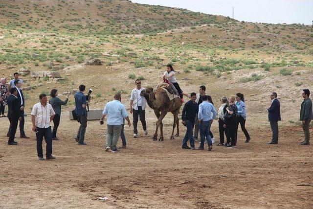 Bakan Kılıç Referandumda En Yüksek Evet Oyu Çıkan Harran’ı Ziyaret Etti