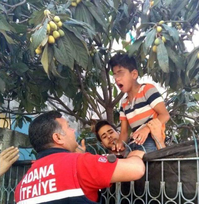 Yenidünya Yemek İsterken Eline Demir Parmaklık Saplandı