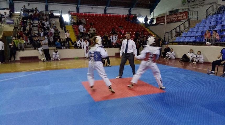 Tekvandocular K&uuml;tahya&rsquo;da Yarıştı