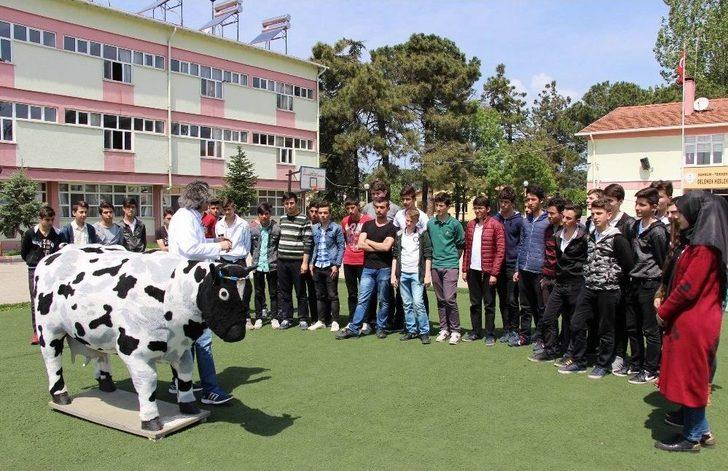 Bu Liseyi Bitiren İş Sorunu Yaşamıyor G2