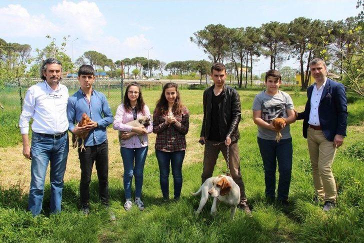 Bu Liseyi Bitiren İş Sorunu Yaşamıyor G3