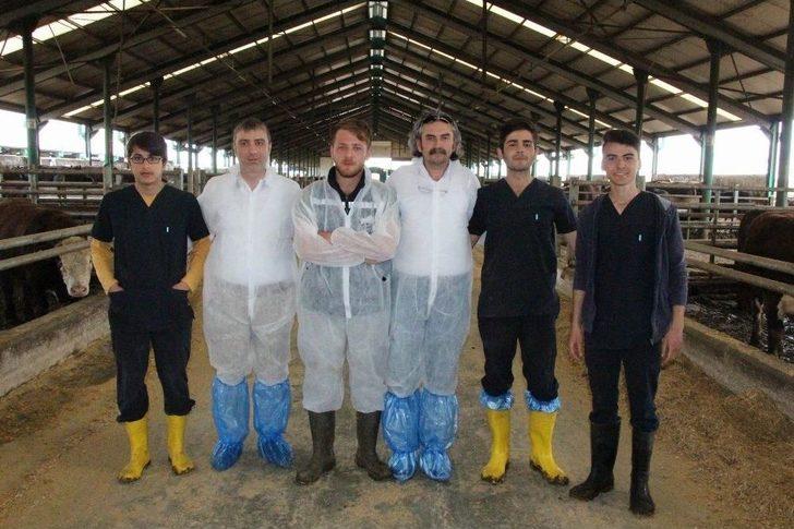 Bu Liseyi Bitiren İş Sorunu Yaşamıyor G5