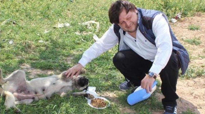 Hayvansever Pazarlamacının &Ouml;rnek Davranışı